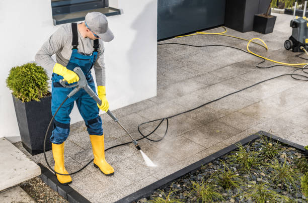 Best Specialty Cleaning in Hlside, IL